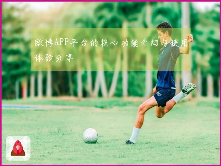 欧博APP平台的核心功能介绍与使用体验分享